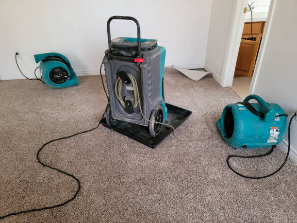 Best Commercial water damage restoration  in Bigfoot, TX