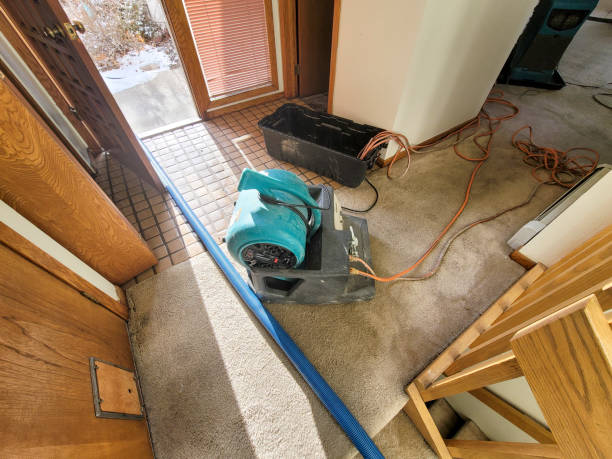 Best Residential water damage restoration  in Bigfoot, TX