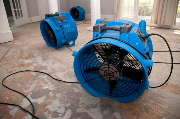 Best Water damage repair service  in Bigfoot, TX