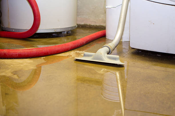Best Basement water damage restoration  in Bigfoot, TX