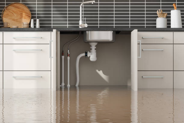 Best Residential water damage restoration  in Bigfoot, TX